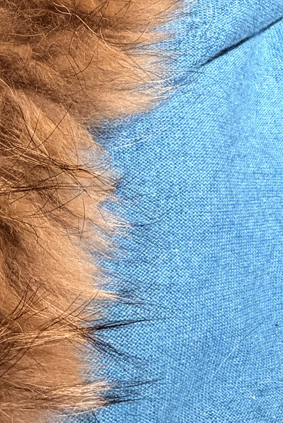 Cashmere and vintage fox fur, knitted wrap